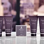 ザ リッツ カールトン ベルリン