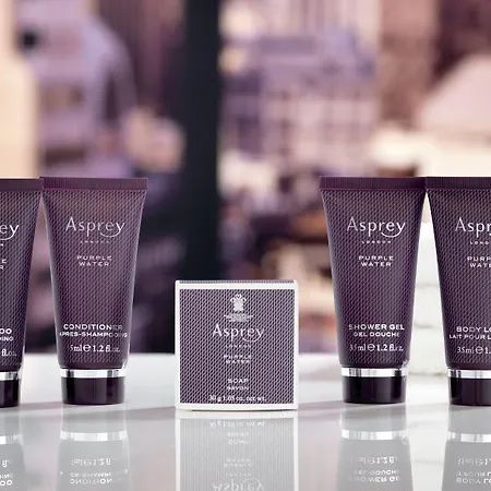 The Ritz-carlton, Berlin