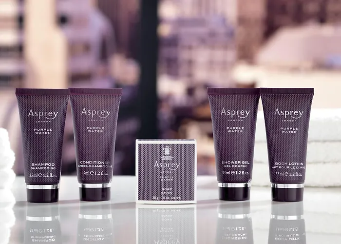 The Ritz-carlton, Берлин